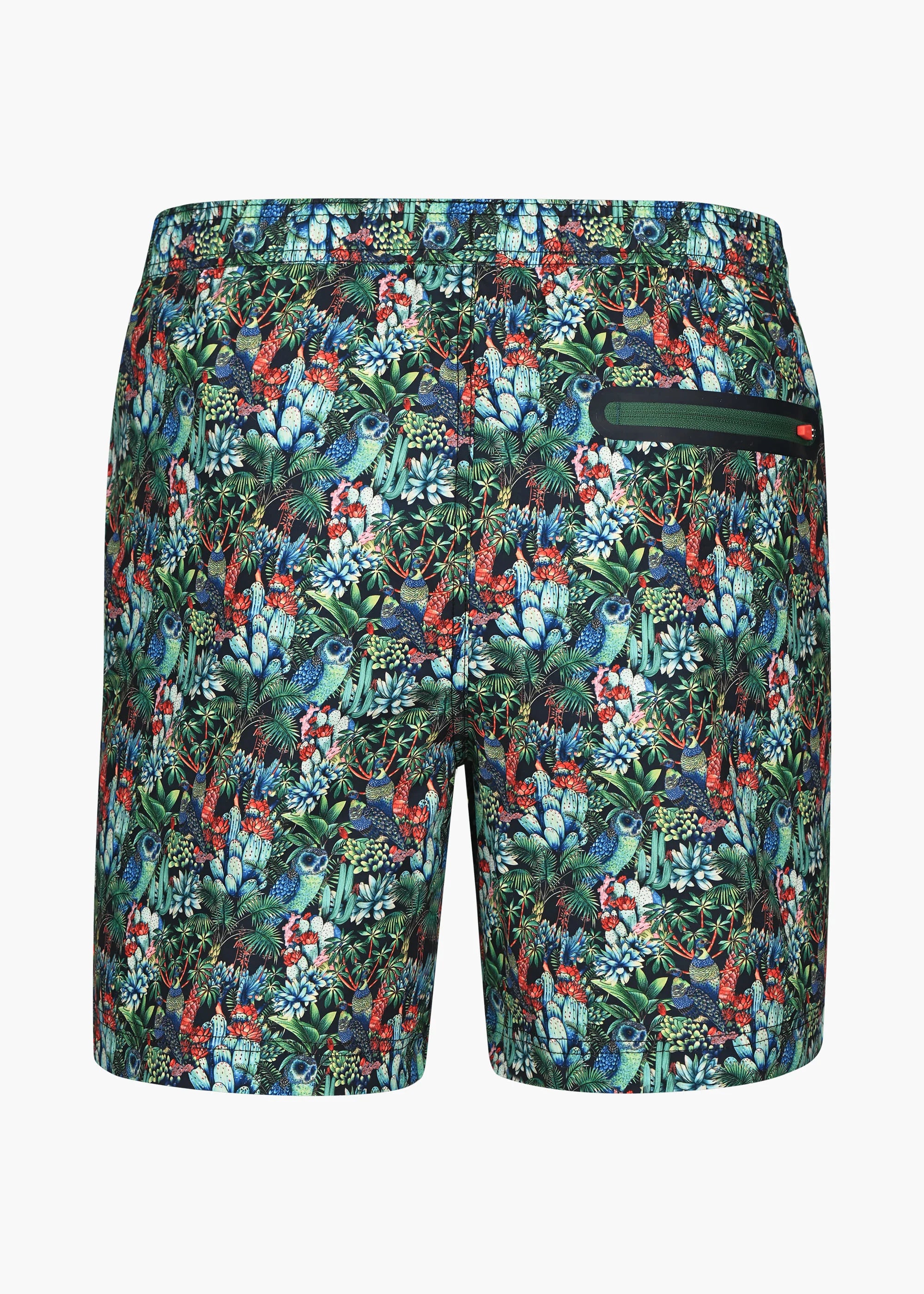 Sol Swim Short