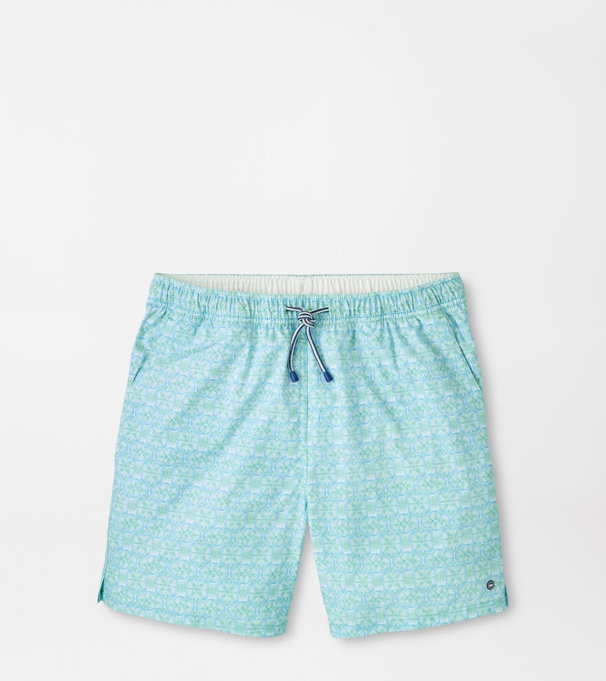Tide Lines Swim Trunk (MS26P02)