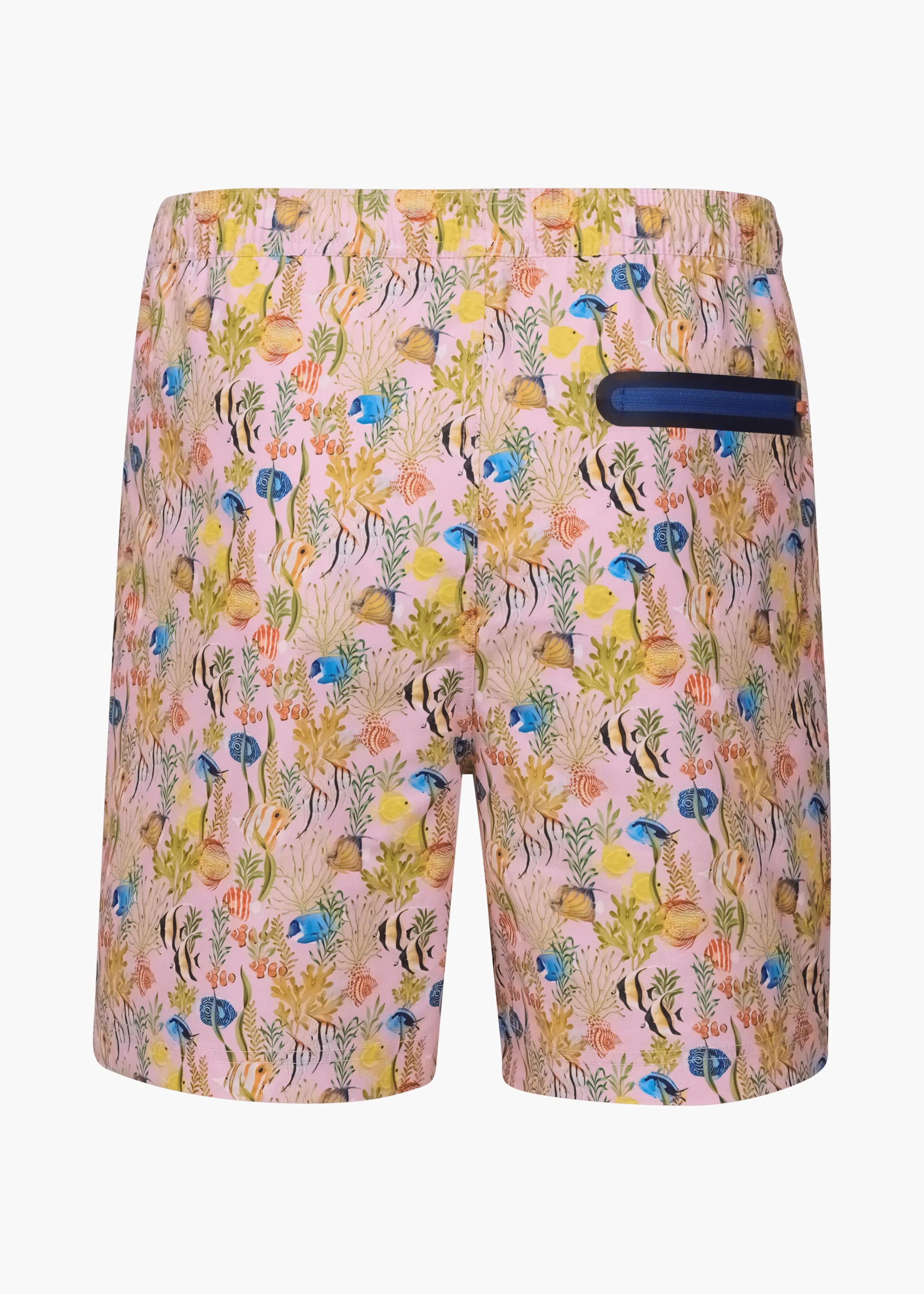 Sol Swim Short